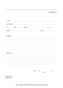 instancia-imprimible.pdf