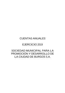 05-cuentas-anuales-soc-promocion-2019.pdf