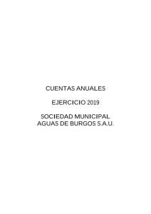 06-cuentas-anuales-aguas-2019.pdf