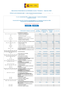 10-pyg-1t-2020-consorcio-variante-ferroviaria.pdf