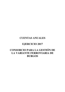 8-cuentas-anuales-2017-cons-desvio-ferrocarril_0.pdf