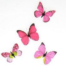 mariposas_mensajeras-211x211.jpg