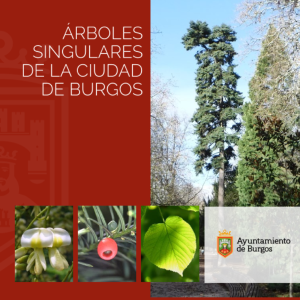 publicacion-arboles-singulares.pdf
