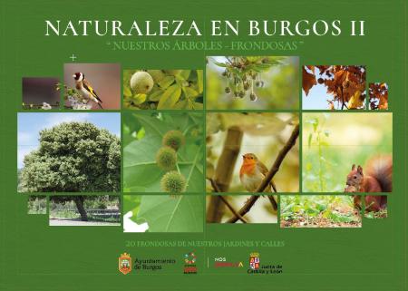 Image Naturaleza en Burgos - Nuestras Frondosas I
