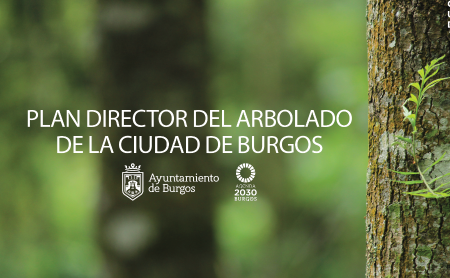 Imagen Plan director del arbolado de la Ciudad de Burgos