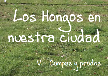 Imagen V Cuaderno de la colección Los Hongos en nuestra ciudad, campas y prados