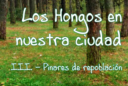 Imagen III Cuaderno de la colección Los Hongos en nuestra ciudad, pinares de...