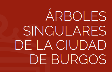 Imagen Guía “Algunos árboles singulares de la ciudad de Burgos”