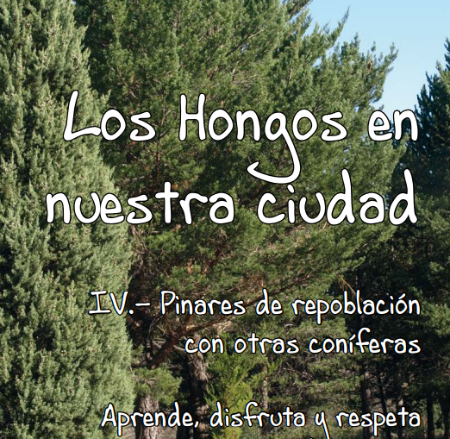 Imagen IV Cuaderno de la colección Los Hongos en nuestra ciudad, pinares de...