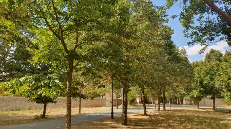 Imagen Capas vectoriales y BBDD de los jardines de Burgos